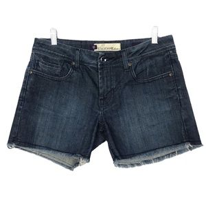 Vigoss Collection Fringe Raw Hem Cutoff Limited Edition Sz 28 Shorts Summer Gems